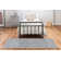Attell Floral Indoor Rug
