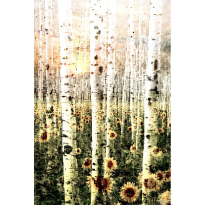 « marguerite forest » par parvez taj,, reproduction d’art sur toile tendue