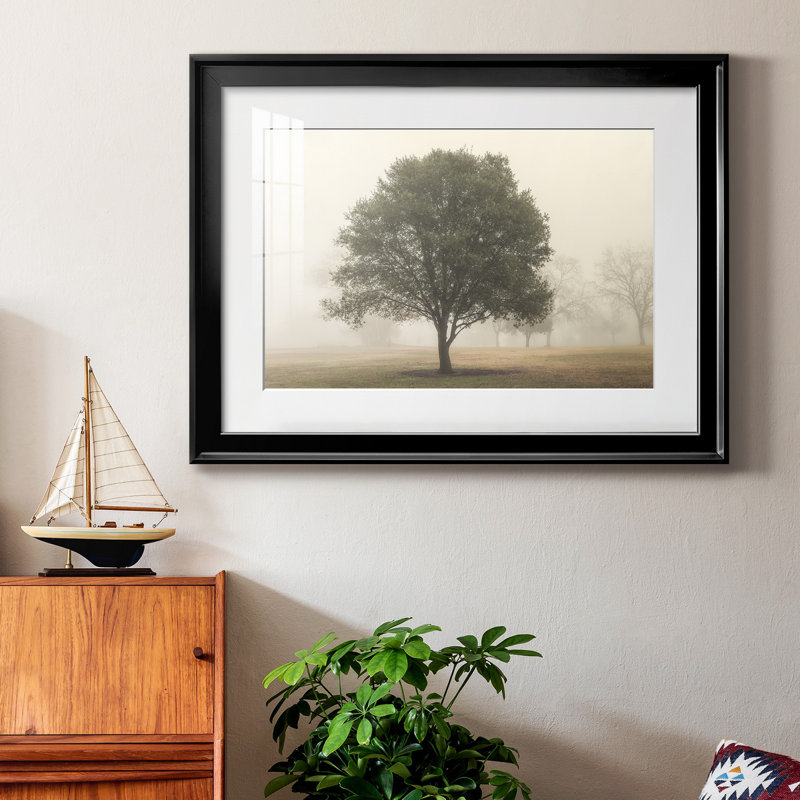 " Trees In The Fog I ", Black Framed, 18.5" H x 24.5" W x 1" D, White