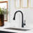 OAKLAND Single Handle Pull Down Kitchen Faucet-101054511