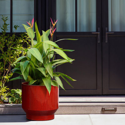 Pot à fleurs rond rouge en céramique