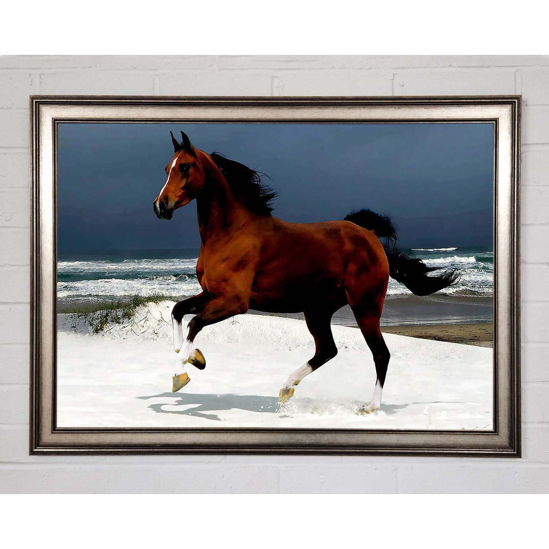 Ocean Horse Beauty Gerahmter Druck Wandkunst