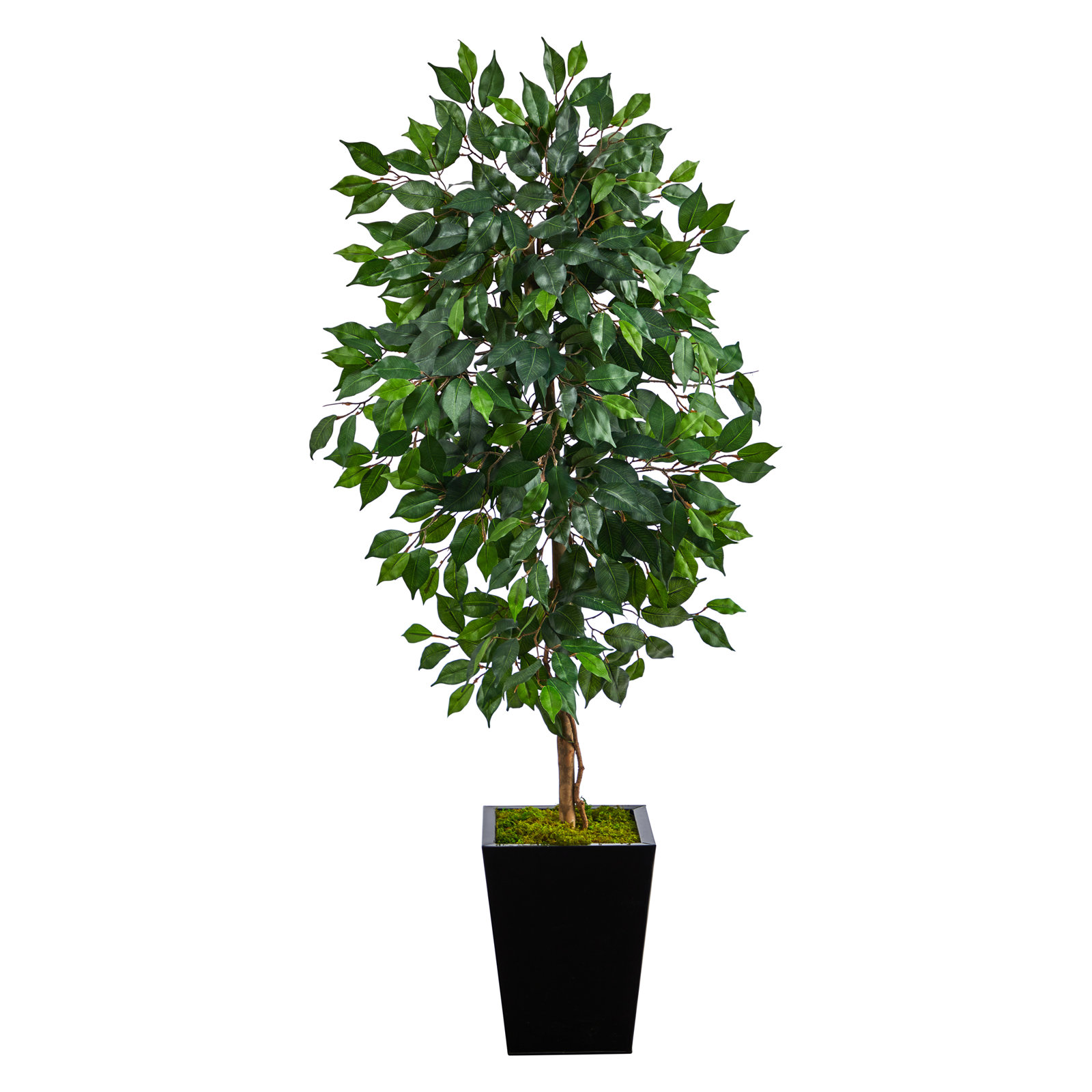 Faux Ficus Tree in Clay Planter, 60" H x 21" W x 19" D, Black