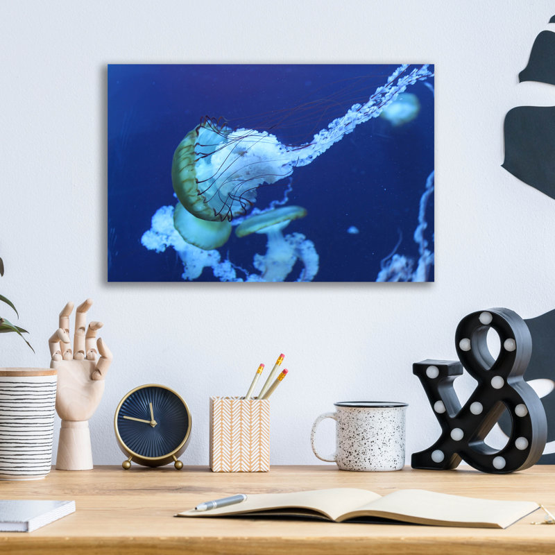 «Jelly» par Photoinc Studio, art mural en verre acrylique, 24 po x 16 po, H 12 po x l 16 po x P 0,13 po