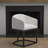 Austri Modern Dining Arm Chair-808134442