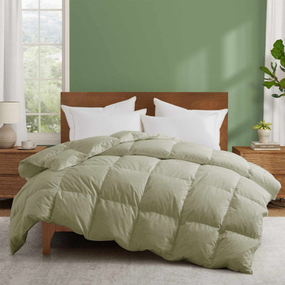 All Season White Down Comforter Duvet Insert with 100% Cotton