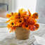 Arrangement de fleurs mixtes