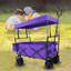 Chariot de plage pliable pour enfants-110890156