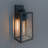 Flush Mounted Sconce (Bulb Not Included)