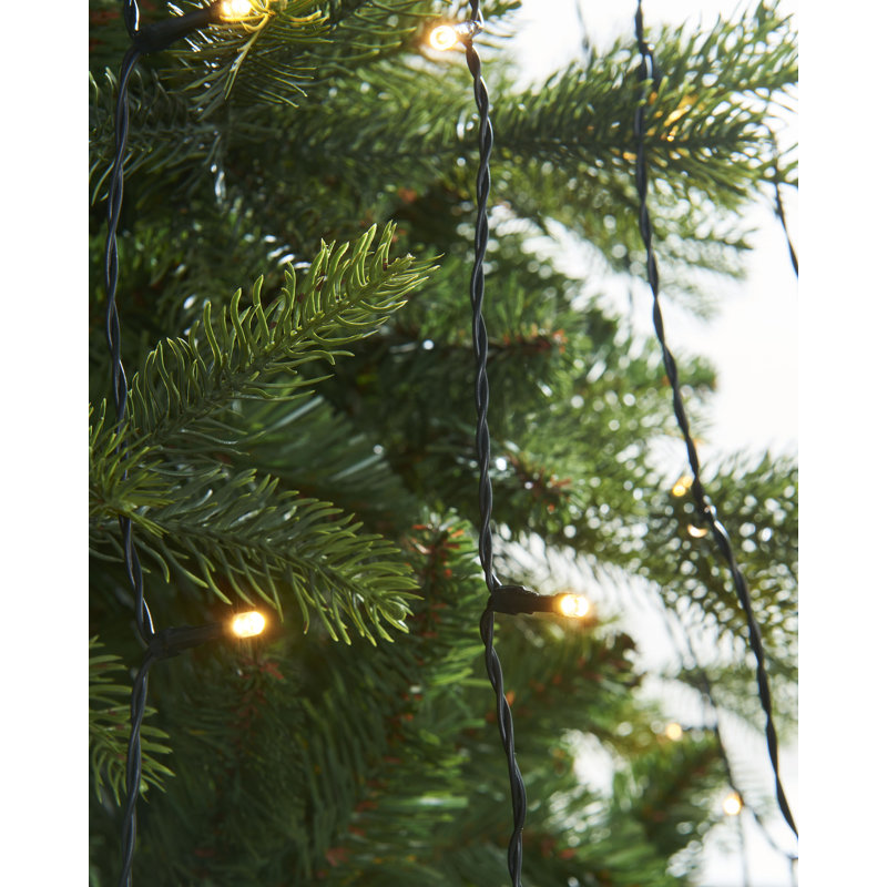 LED Indoor / Outdoor Icicle Lights, Warm White