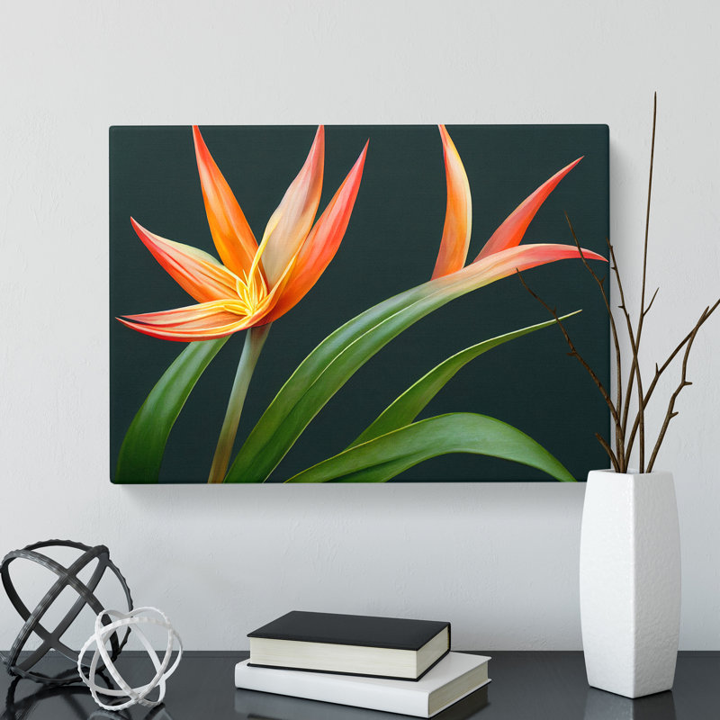 The Bird Of Paradise Flower Vol.3 - Wrapped Canvas Print, 35cm H x 50cm W x 3cm D