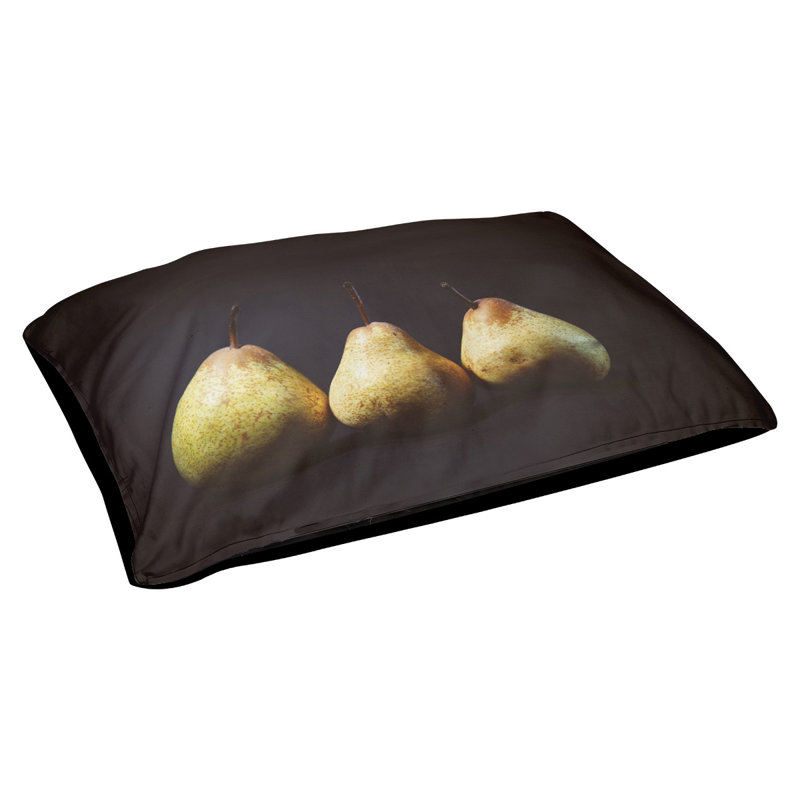 Coussin stylisé pour le lit à chat poiriers Burriss, L 42 po x l 52 po, Noir