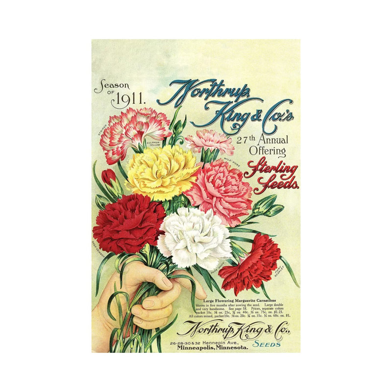 Sterling Seeds, 1911, From The Andersen Horticultural Library by Piddix - Print on Canvas, Wrapped Canvas