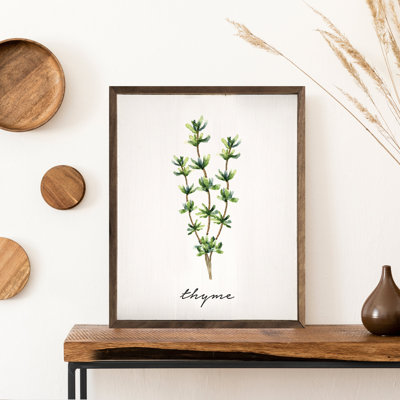 Series Herb Thyme White
