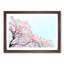 Pink Cherry Blossom Tree - Picture Frame Painting Print-55583434-55583435