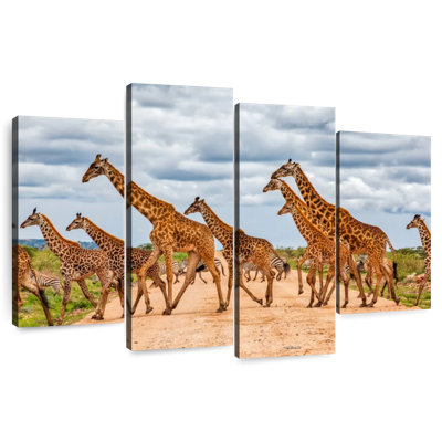 Courir avec des girafes et des zèbres
