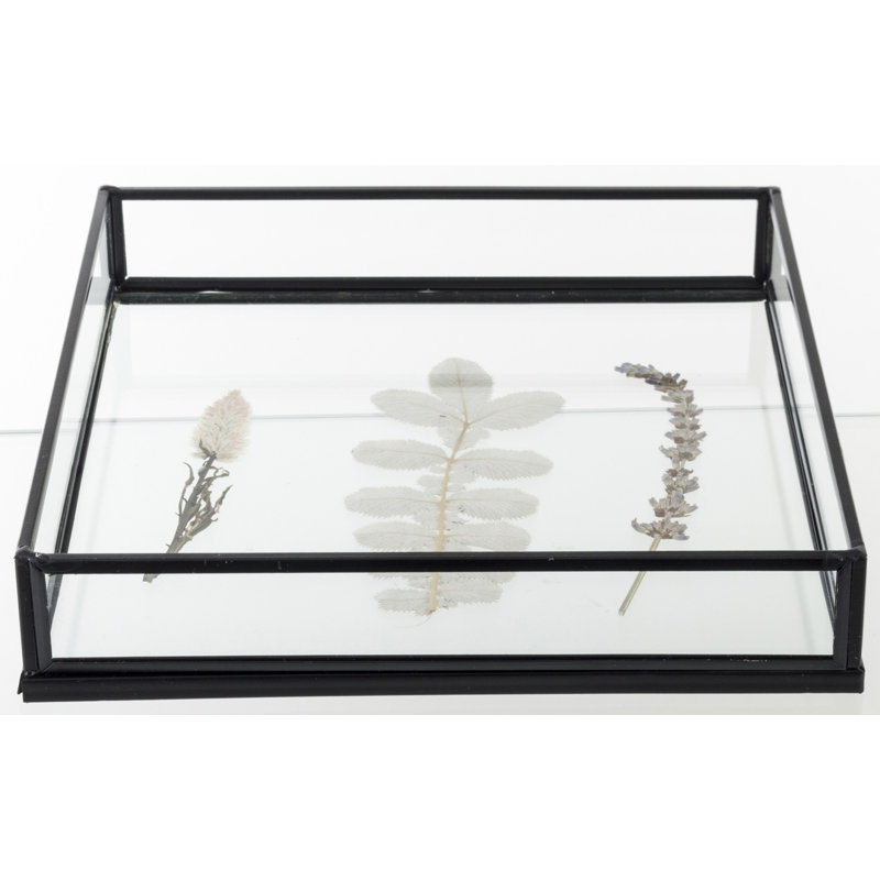 Thursa Tray
