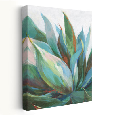 Agave et plante d'agave