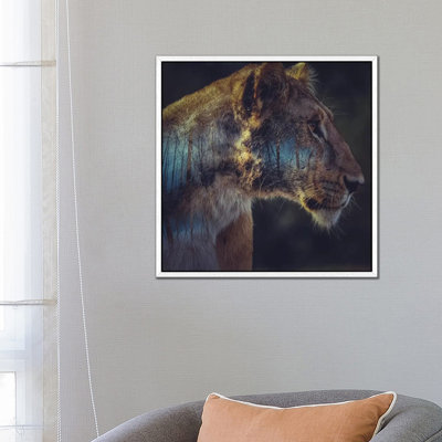 Lion by Paul Haag - Print on Canvas