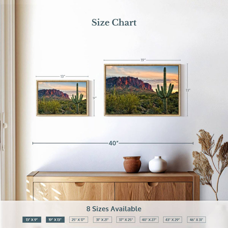 Cactus View II, Cadre flottant en bois naturel, 19 po x 13 po