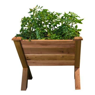 Pot à fleurs surélevé en bois Système