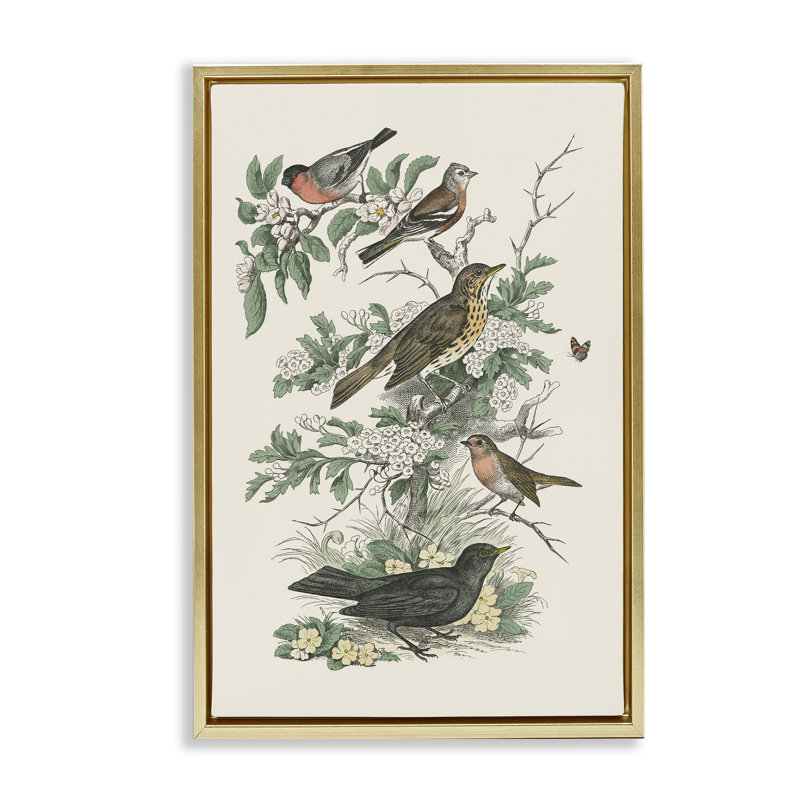 Toile flottante encadrée "Honeybloom Birds" perché par Wild Apple Portfolio, Cadre flottant métallique doré