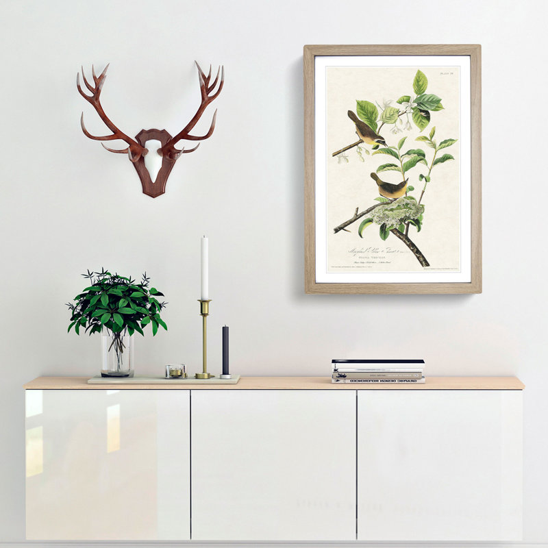 Yellow-Breasted Warbler Birds by John James Audubon - Framed Print, 36cm H x 27cm W x 2cm D, Oak Framed