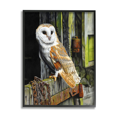 " Owl Perched On Barn Door " by Steve Burgess Painting Print
