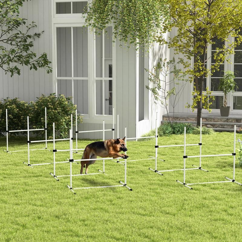 Dog Agility Training Stern - 8 Pieces, Adjustable Bars, Carry Bag, White Assortment