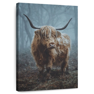 Forest Highland Cow