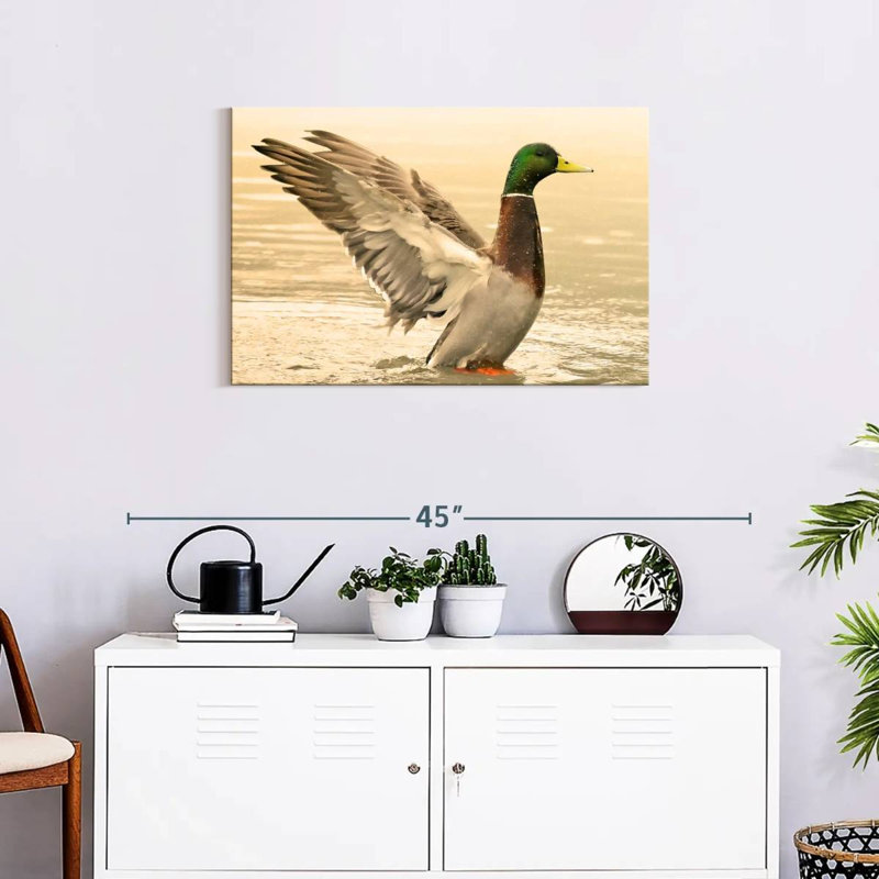 Canard colvert majestueux Brampt, H 20 po x l 30 po
