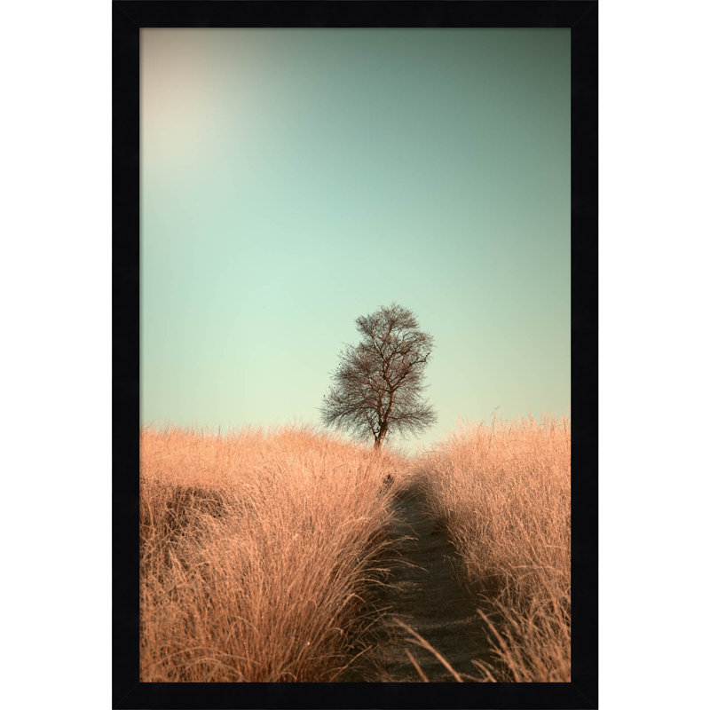 Grass And Path by Jaap Van Den, Black, 15" W x 21" H