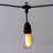 Indoor / Outdoor 12 - Bulb 288 in. Plug-in LED Standard String Light
