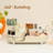 Zackarie Plastic Compartment Makeup Organiser-602668367