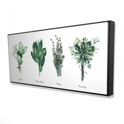 Fine Herbs Print On Canvas