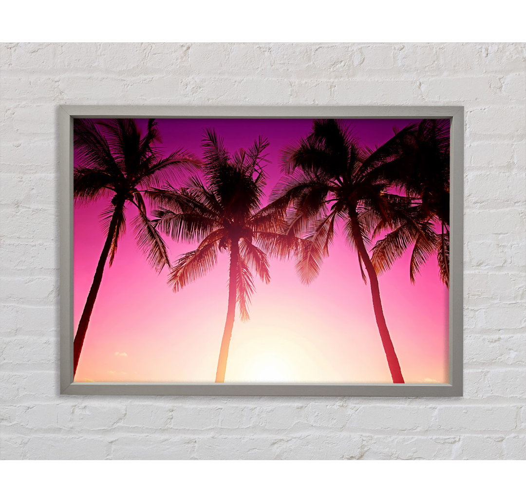 Los Angeles Sunset Palms - Druck