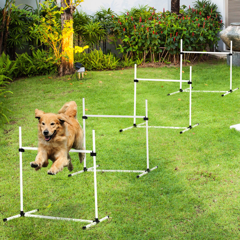 Équipement d'entraînement White Dog Agility - 4 pièces avec barres réglables et trousse de transport pratique pour sac de transport, pour chiens sauvages