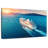 Cruise-1428676261