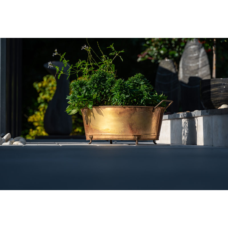 Kaylor Metal Pot Planter, 28" H x 57" W x 31" D