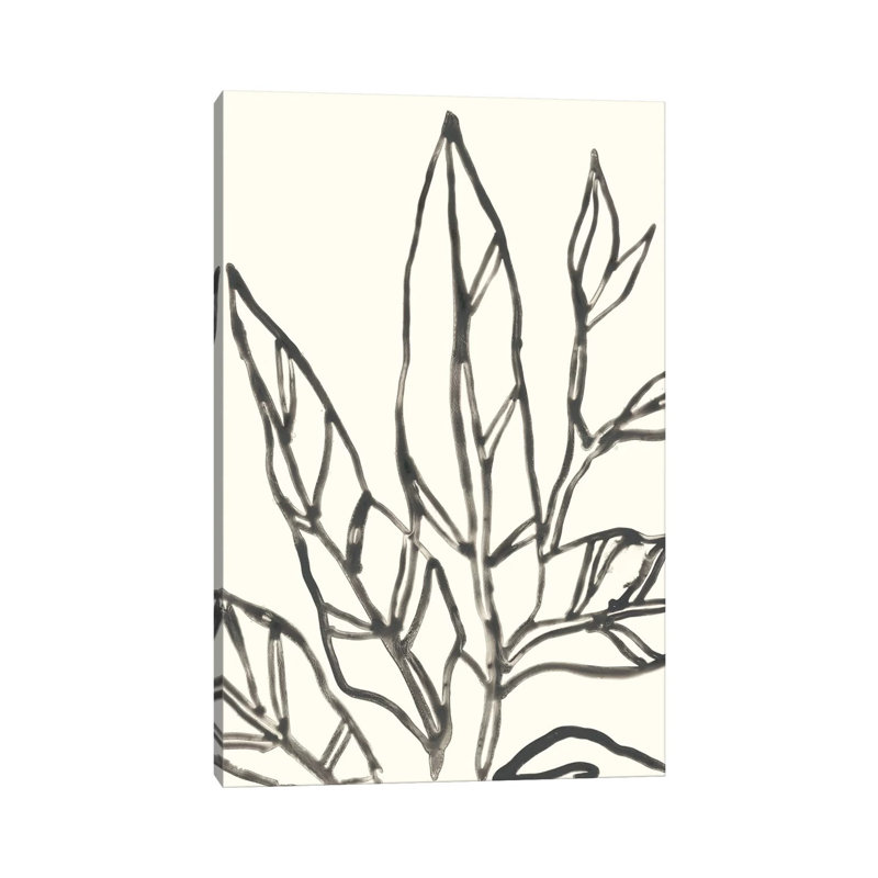 Tropical Contour II by June Erica Vess - Wrapped Canvas Print, 20.32 cm H x 30.48 cm W
