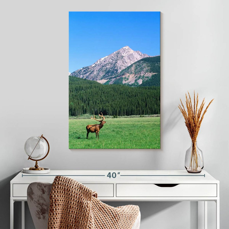 Brampt Coyote Valley Elk, 30" H x 20" W