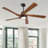5 - ABS Blades Indoor Ceiling Fan with Light and Remote-1891802427-1891802425-1890680948