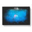 Jellyfish in Pink & Blue with Sunlight - Wrapped Canvas-56659338