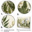 Art sur toile Herbes Chive Symphony 3-631671102-631671113