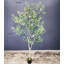 Olive artificielle, faux olivier-1655806943