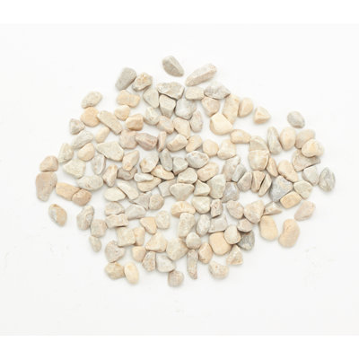 Ensemble de bourre vase sable rocks Haughton