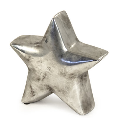 Raines Distressed Star