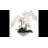 Phalaenopsis Orchid Floral Arrangement in Vase-136407377