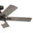 52'' Ceiling Fan with LED Lights-239975205