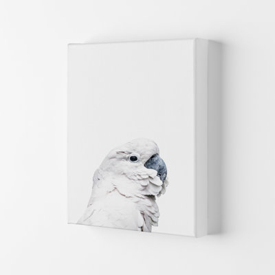 White Cockatoo by Victoria Frost - Print